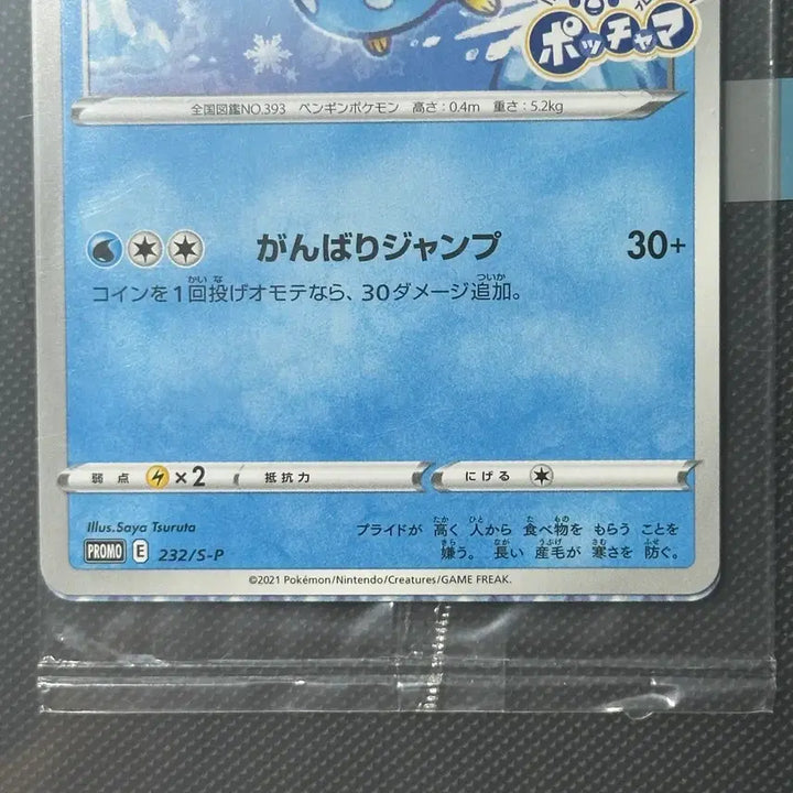 [BUNJANG] Sealed Japanese Promo Pokemon Card / [ 미개봉 ] 팽도리 일판 프로모 포켓몬 카드