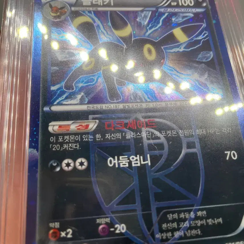 [BUNJANG] 2013 Plasma Freeze Umbreon Holo BRG Graded Gem Mint 6 Pokemon Card / 2013 플라스마단 블래키 홀로 BRG6등급 포켓몬카드
