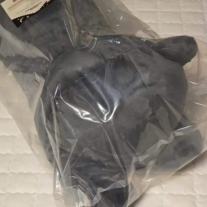[BUNJANG] Leo (VIXX) Housenyangwoon Pillow (Sealed) / 젓택운 레오 하우스냥운 필로우 (미개봉)