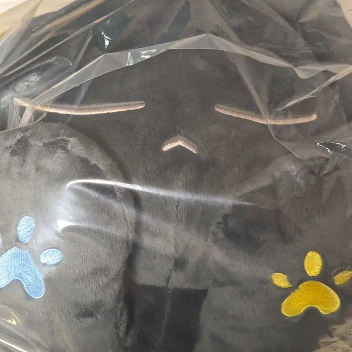 [BUNJANG] Leo (VIXX) Housenyangwoon Pillow (Sealed) / 젓택운 레오 하우스냥운 필로우 (미개봉)