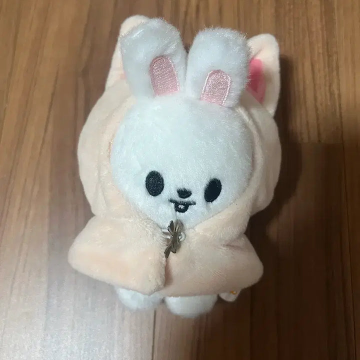[BUNJANG] Skzoo Ribbit Plush / 스키주 리빗 양도