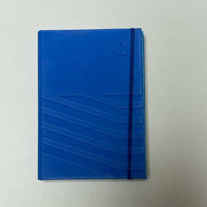 [BUNJANG] BIGBANG 2010 YG Family Concert Photobook / 빅뱅 투애니원 2010 YG 패밀리 콘서트 포토북