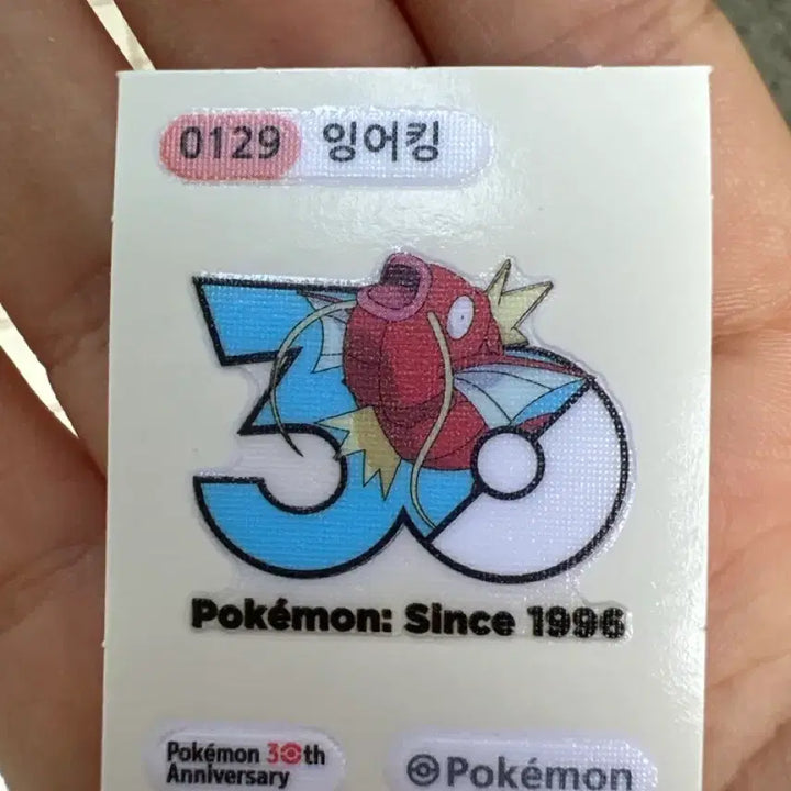 [BUNJANG] Pokemon 30th Anniversary Stickers / [1+1] 포켓몬 30주년 띠부띠부씰 판매!