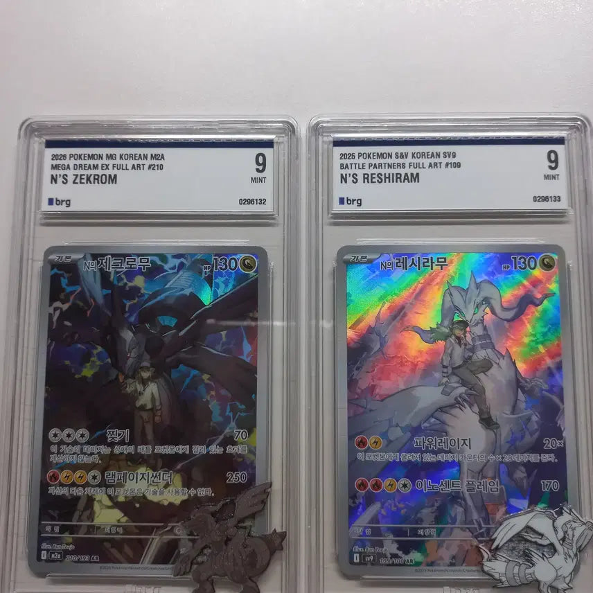 [BUNJANG] Pokemon Card N&
