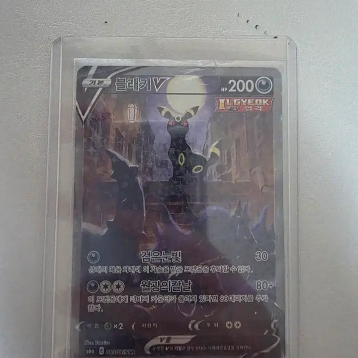 [BUNJANG] Blaziken SR Special Edition / 블래키 SR 특일