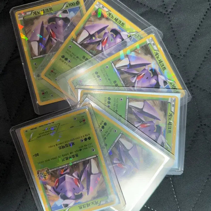 [BUNJANG] Genesect 2013 Winter Carnival Promo Card (Sealed) / 게노세크트 2013 윈터카니발 프로모 미개봉