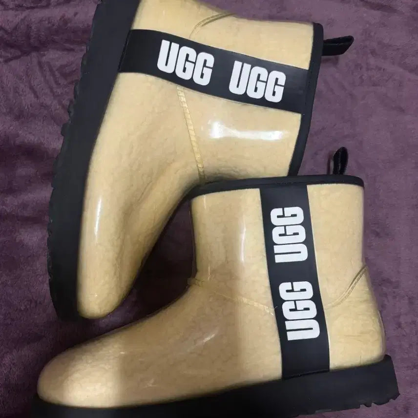 [BUNJANG] UGG Classic Clear Mini Boots / UGG 어그 클래식 클리어 미니 부츠 240