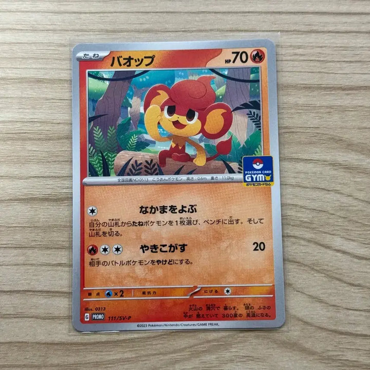 [BUNJANG] Japanese Pokemon Card Baoppu Gym Promo / [포켓몬카드 일판] 바오프 짐프로모