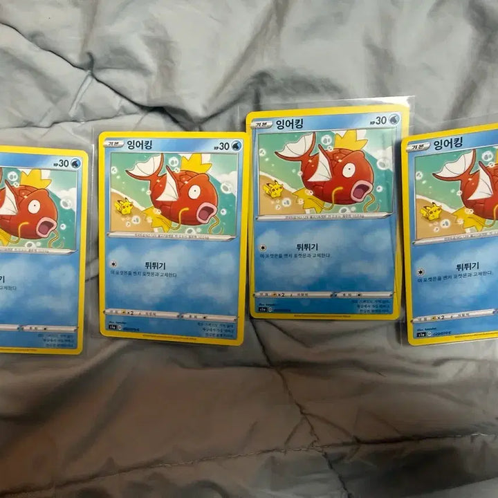 [BUNJANG] Kanahei Magikarp Graded Cards (Mint Condition, Set of 4) / 카나헤이 잉어킹 등급용(상태 최상 4마리)