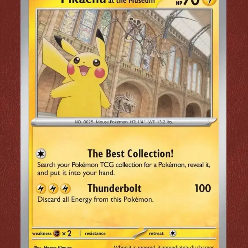 [BUNJANG] Pikachu Natural History Museum Jumbo Card / 피카츄 자연사 박물과 점보 카드