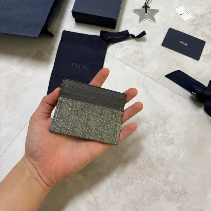 [BUNJANG] Dior Ruthenium Card Holder / 디올 루테늄 카드지갑