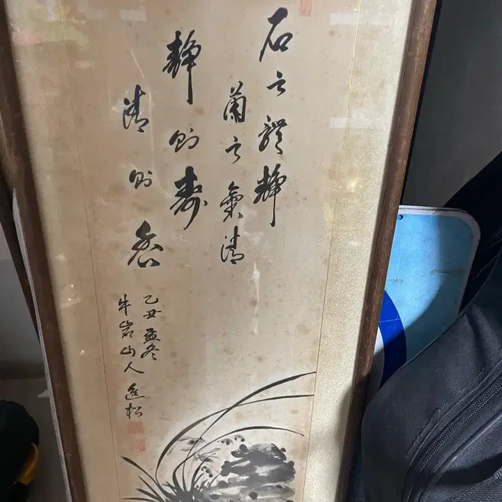 [BUNJANG] Gohwa Orchid / 고화 난초 10만