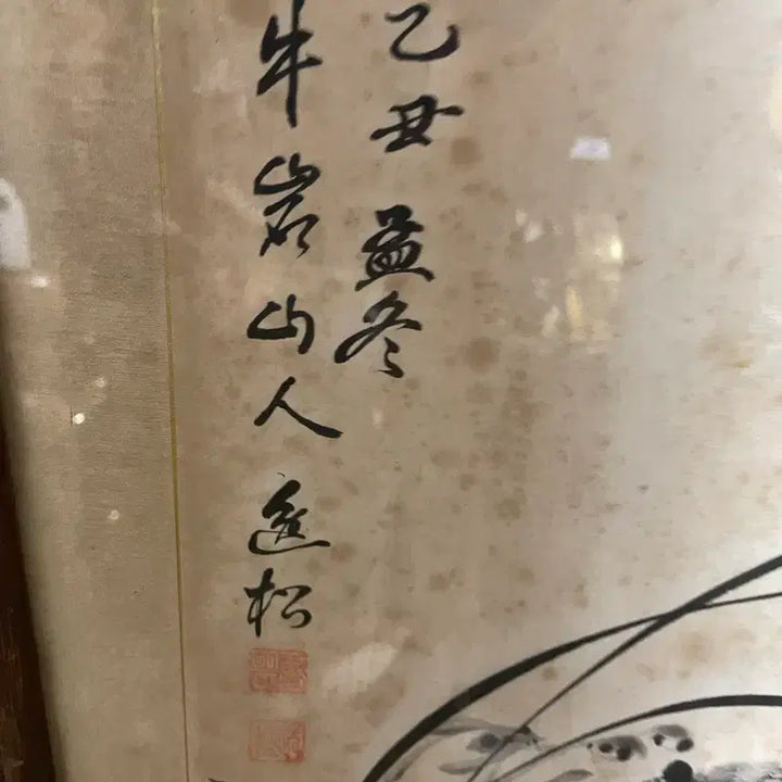 [BUNJANG] Gohwa Orchid / 고화 난초 10만