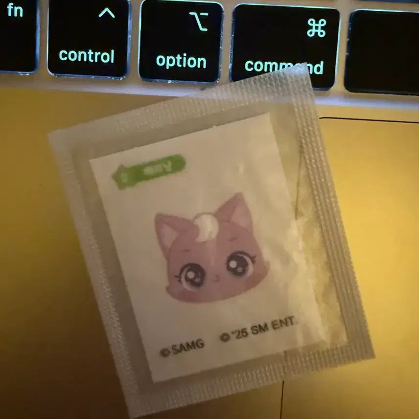 [BUNJANG] NCT WISH Sion Sticker / nctwish 시온 sion 스티커