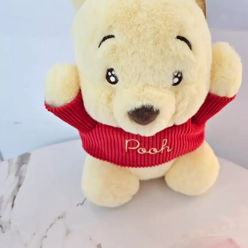 [BUNJANG] Disney Winnie the Pooh Plush Toy / 디즈니 푸 인형 봉제인형 (새상품)