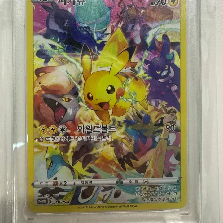 [BUNJANG] Pikachu Promo Card Precious Collector Box / 프레셔스 콜렉터 박스 피카츄 프로모 교환 및 판매