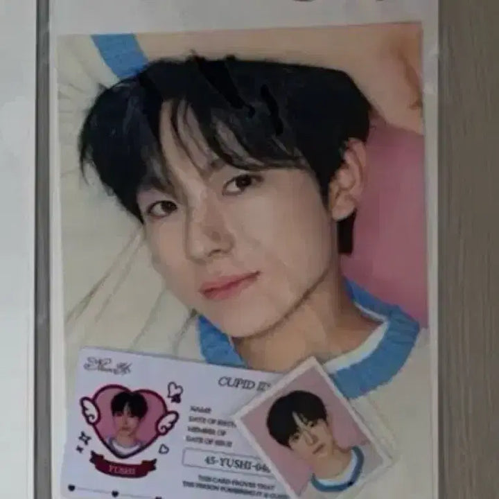[BUNJANG] NCT WISH YUSHI Steady Popup Photocard ID Card Set / 엔시티위시 유우시 스테디 팝업 포토세트 포카 증사 아이디카드