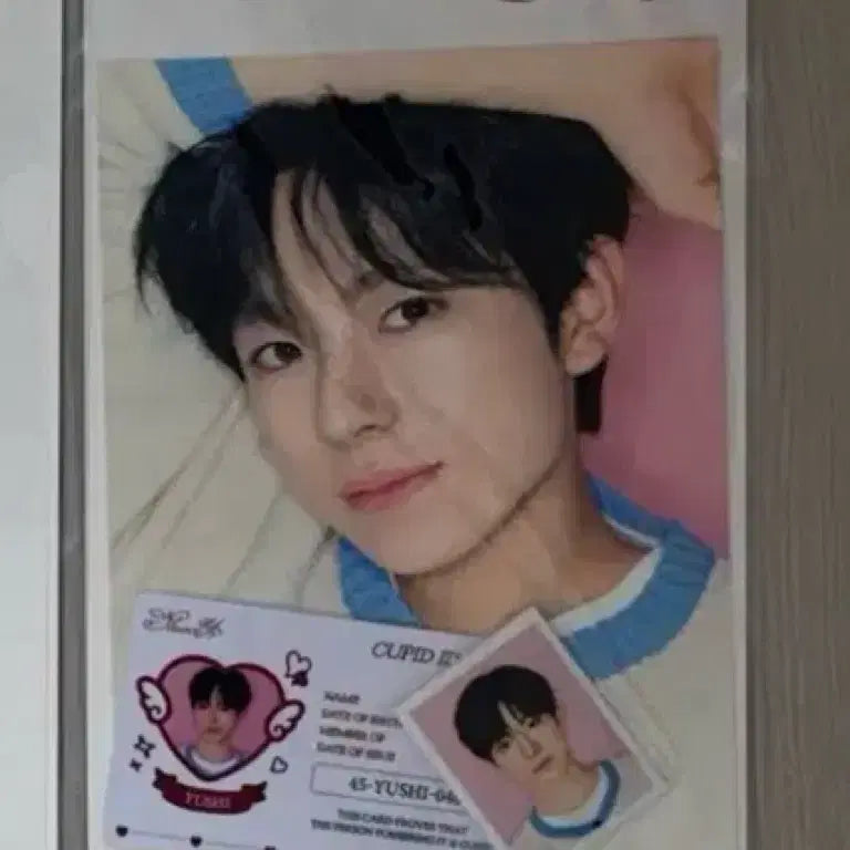 [BUNJANG] NCT WISH YUSHI Steady Popup Photocard ID Card Set / 엔시티위시 유우시 스테디 팝업 포토세트 포카 증사 아이디카드