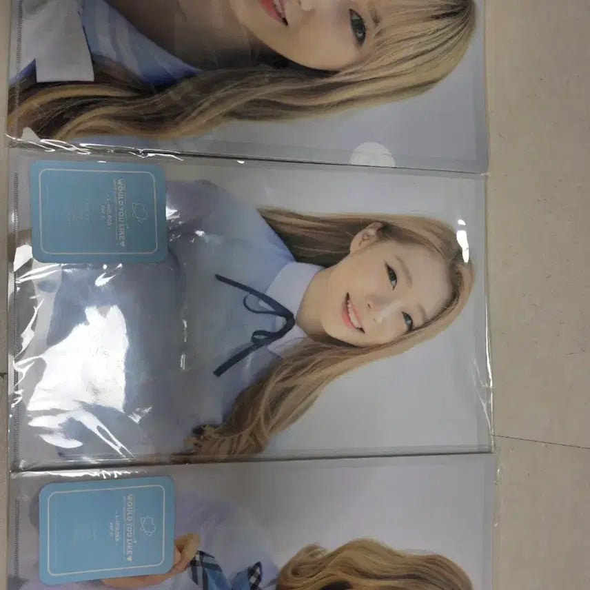 [BUNJANG] Cosmic Girls Concert L Holder Full Set / 우주소녀 콘서트 l홀더 엘홀더 전원 풀셋