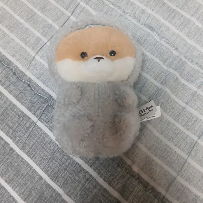 [BUNJANG] Otter Plush Doll in Hoodie / 후드티 수달 인형