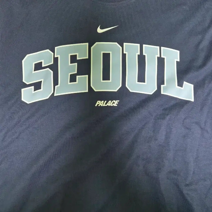 [BUNJANG] Nike x Palace Apkujeong T-shirt XL / 나이키 팔라스 압구정 반팔 Xl