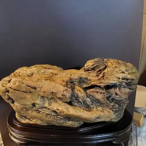 [BUNJANG] Chinese Natural Stone - Transformation Stone (Bi-Hwa-Seok) / 수석(변화석)