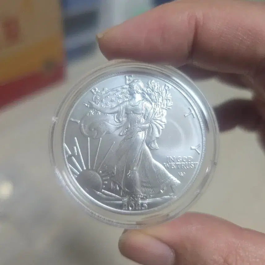 [BUNJANG] 2025 1 oz American Eagle Silver Coin / 1온스  이글