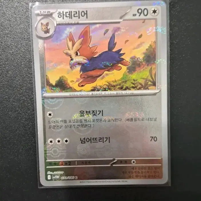 [BUNJANG] Pokemon Card Arcanine Master Ball / 포켓몬 카드 하데리어 마스터볼