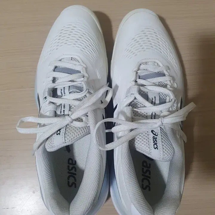 [BUNJANG] ASICS Gel-Resolution X Clay Tennis Shoes 250mm / 아식스 젤레졸루션X 250mm 클레이 테니스화