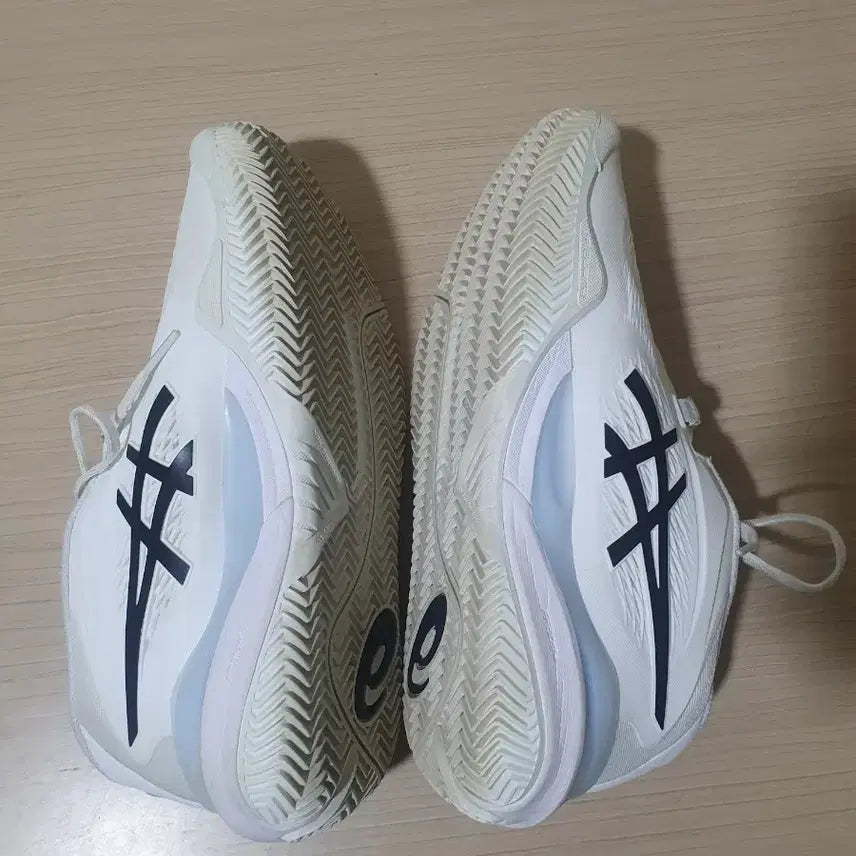 [BUNJANG] ASICS Gel-Resolution X Clay Tennis Shoes 250mm / 아식스 젤레졸루션X 250mm 클레이 테니스화