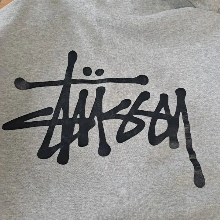 [BUNJANG] Stussy Hoodie / 스투시 후드티