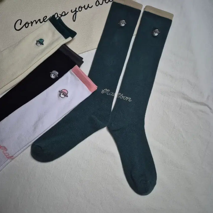 [BUNJANG] Malbon Golf &amp; Titleist Ribbed Knee-High Socks / 말본  니삭스 타이틀리스트 니삭스