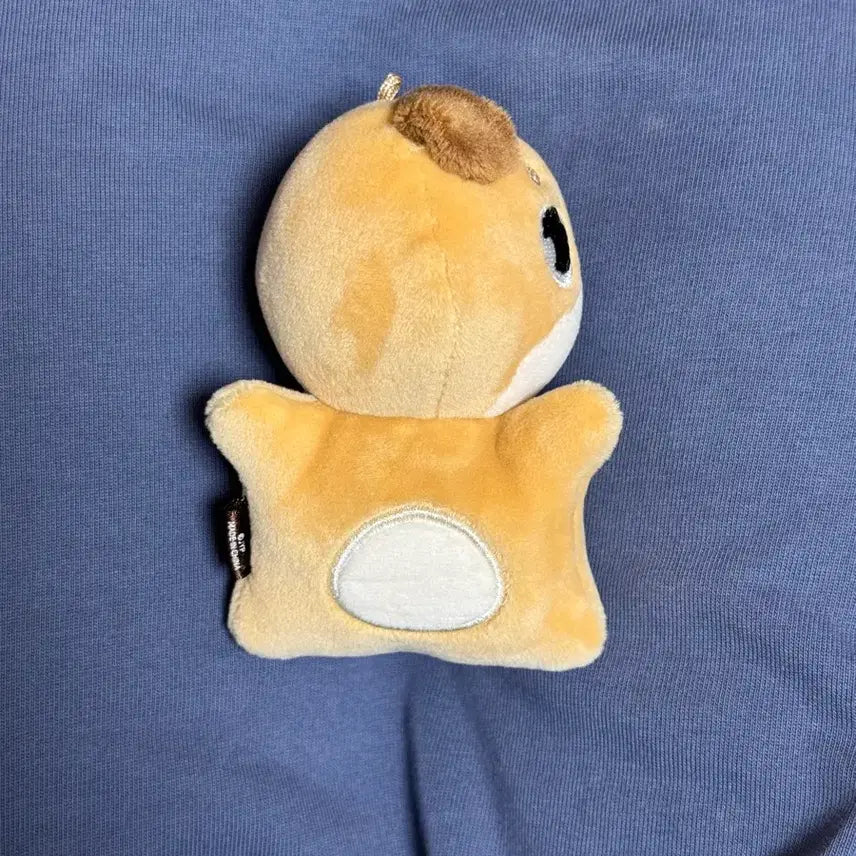 [BUNJANG] DAY6 Denimals Hand Warmer Plush Toy Don / 데이식스 데니멀즈 손난로 인형 돈