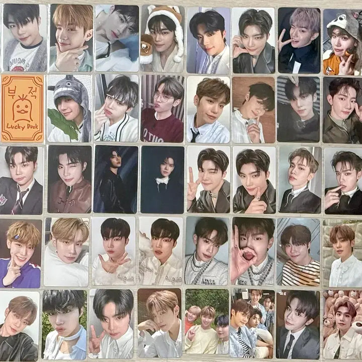 [BUNJANG] ZEROBASEONE Zerøbaseone Bundle Set 50 Photocards / 제로베이스원 제베원 포카 50장 일괄 양도