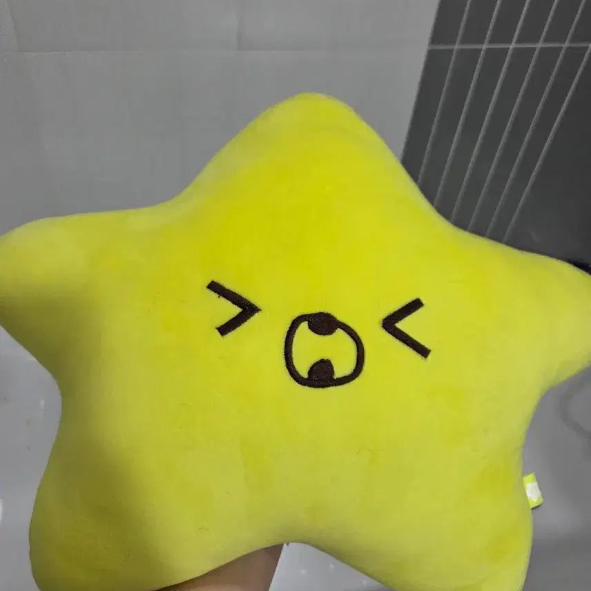 [BUNJANG] Haechan Seagull Cushion / 해찬햇가사리쿠션