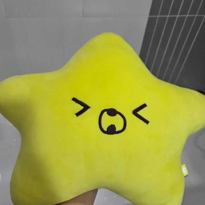[BUNJANG] Haechan Seagull Cushion / 해찬햇가사리쿠션