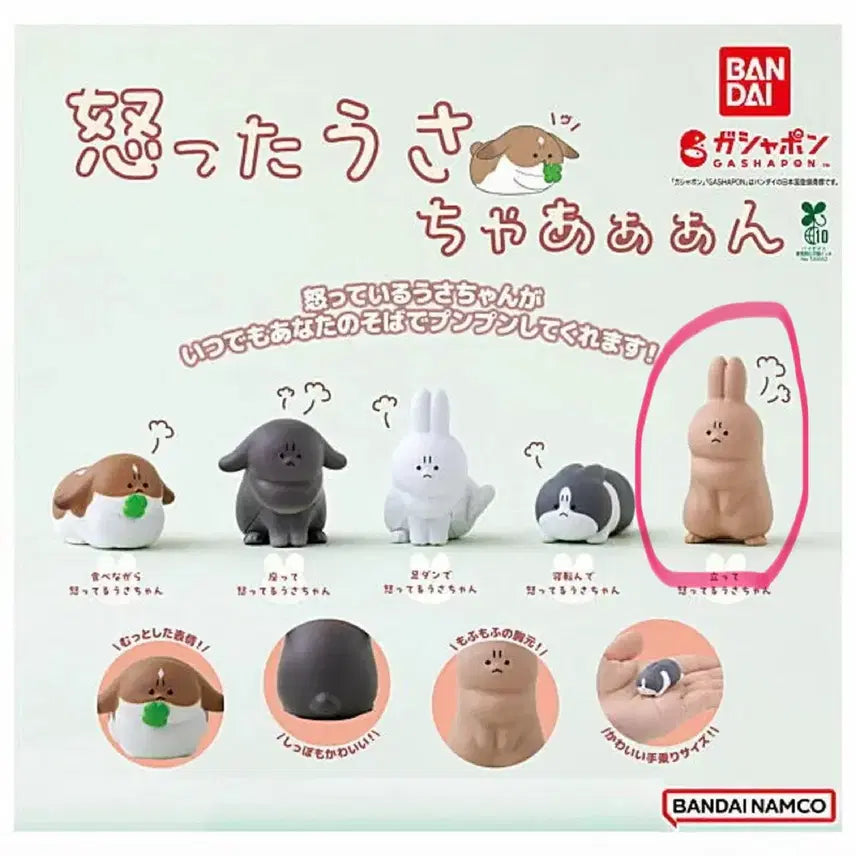 [BUNJANG] Sealed Angry Rabbit Gacha Figure / 화난 토끼 가챠 미개봉
