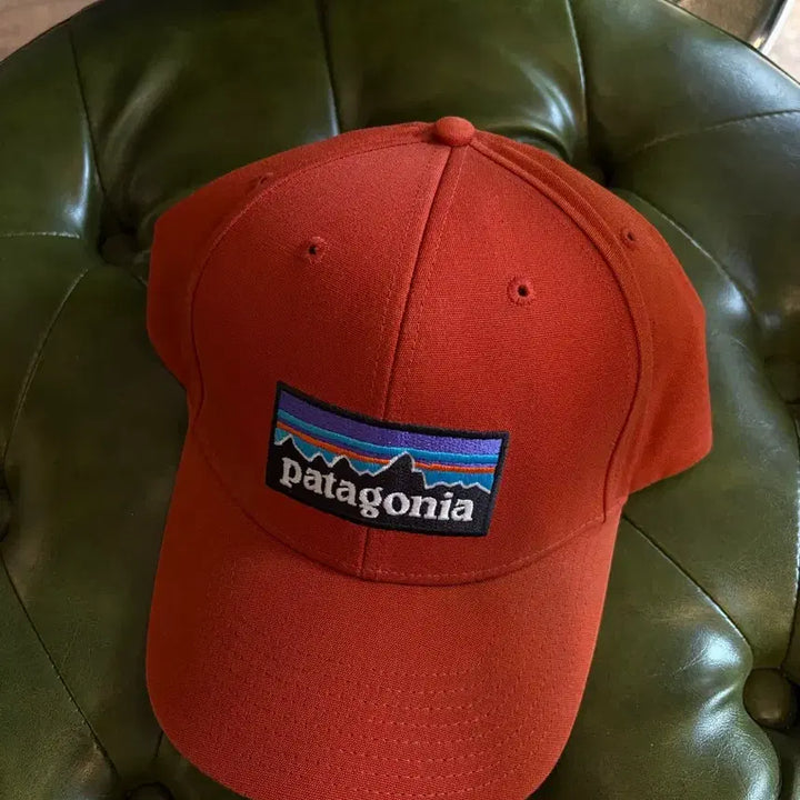 [BUNJANG] Patagonia Logo Baseball Cap / 파타고니아 볼캡 모자