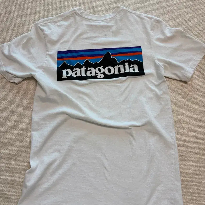 [BUNJANG] Patagonia Short Sleeve T-Shirt / 파타고니아 반팔티