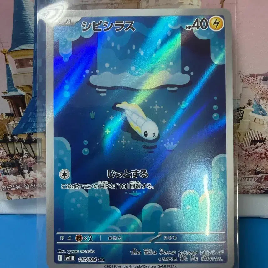 [BUNJANG] Pokemon Card Groudon AR Japanese / 일판 포켓몬카드 저리어 AR