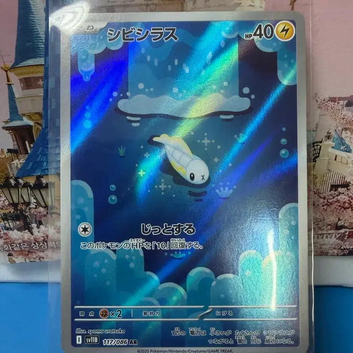 [BUNJANG] Pokemon Card Groudon AR Japanese / 일판 포켓몬카드 저리어 AR