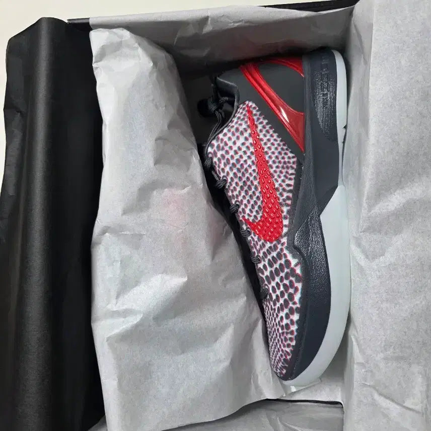[BUNJANG] Nike Kobe 6 Protro 270mm / [새제품]교환X_판매O나이키 코비6 프로트로 270mm