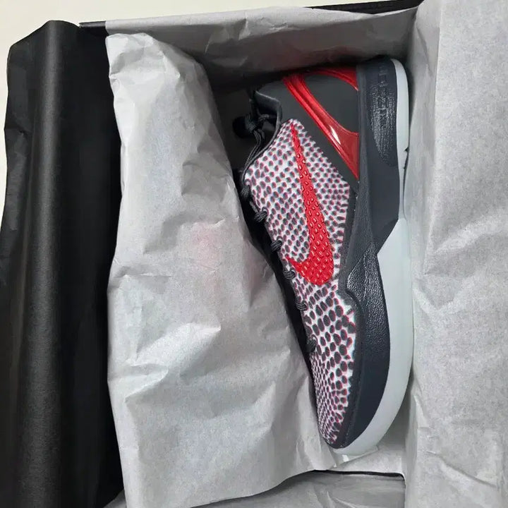 [BUNJANG] Nike Kobe 6 Protro 270mm / [새제품]교환X_판매O나이키 코비6 프로트로 270mm