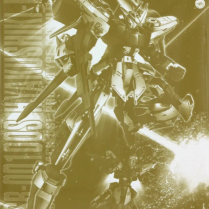 [BUNJANG] MG 1/100 GUNDAM Ver.Ka Z-MSV Bawoo Nutter 2nd Generation Premium Bandai / MG 백식 카이 [프리미엄 반다이] 건담 Z-MSV 건프라
