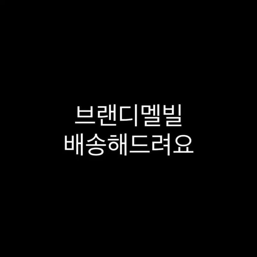[BUNJANG] Brandy Melville Personal Shopping Service / 브랜디멜빌 대리구매