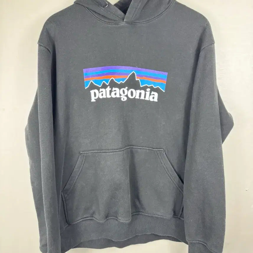 [BUNJANG] Patagonia Hoodie Black M / 파타고니아 후드티 M 블랙
