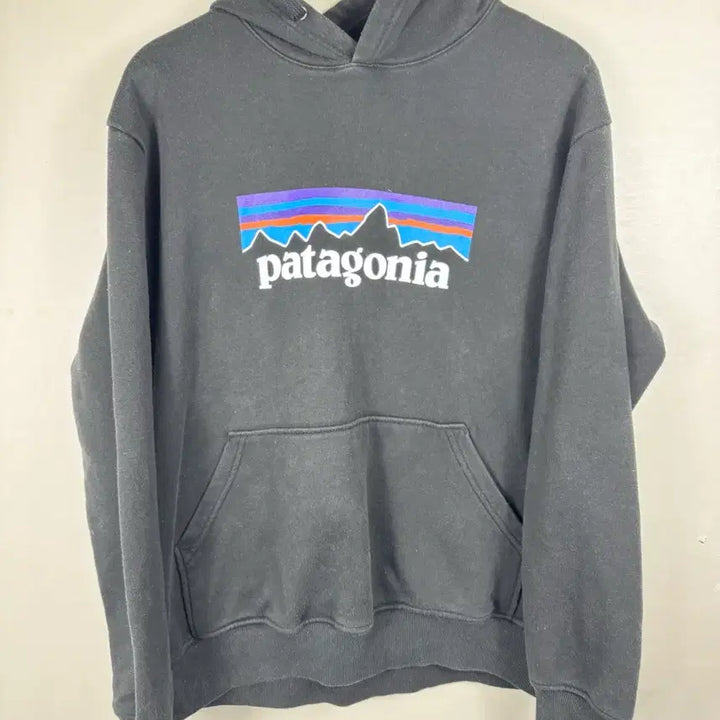 [BUNJANG] Patagonia Hoodie Black M / 파타고니아 후드티 M 블랙