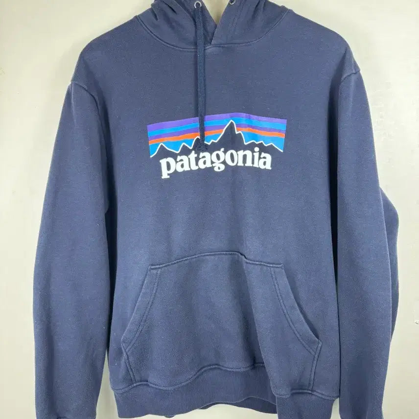 [BUNJANG] Patagonia Logo Hoodie Navy M / 파타고니아 로고 후드티 네이비 M