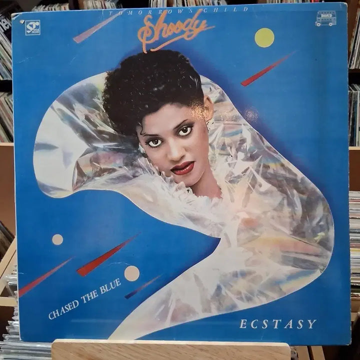 [BUNJANG] Shoody Ecstasy LP / 희귀 소장가치 Shoody Ecstasy LP 할인