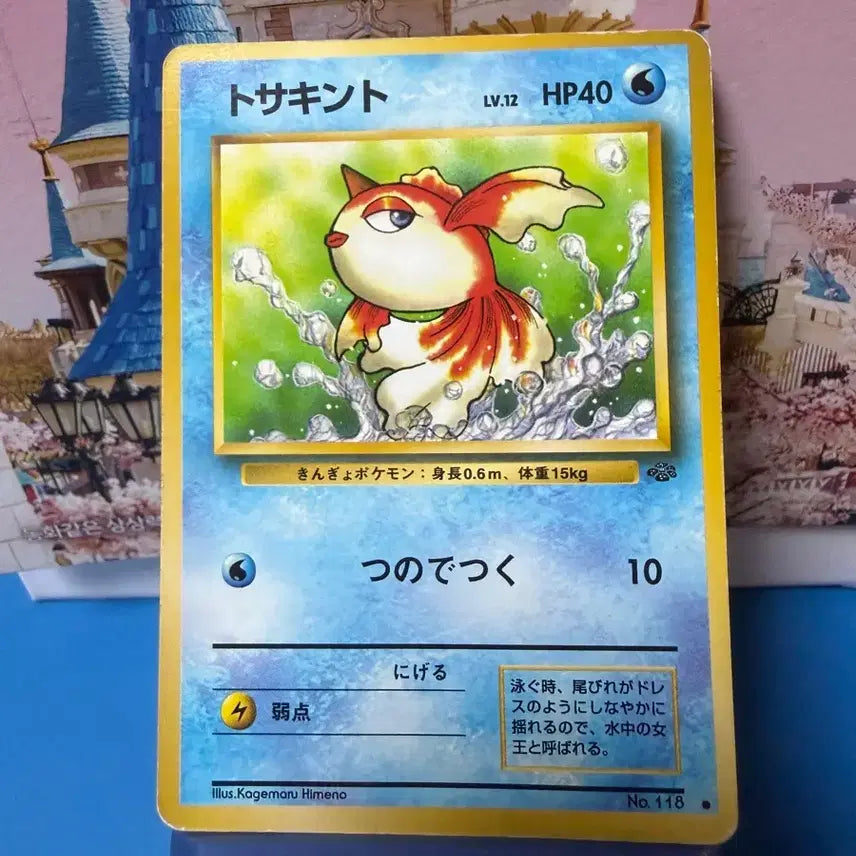 [BUNJANG] Pokemon Card Konchi First Edition Album Version / 일판 포켓몬카드 콘치 초판 앨범용